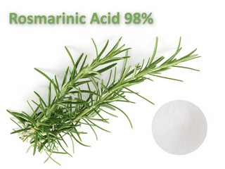 Rosmarinsäure 98%
